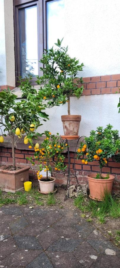 Villa Charlotte Bad Liebenstein Ngoại thất bức ảnh