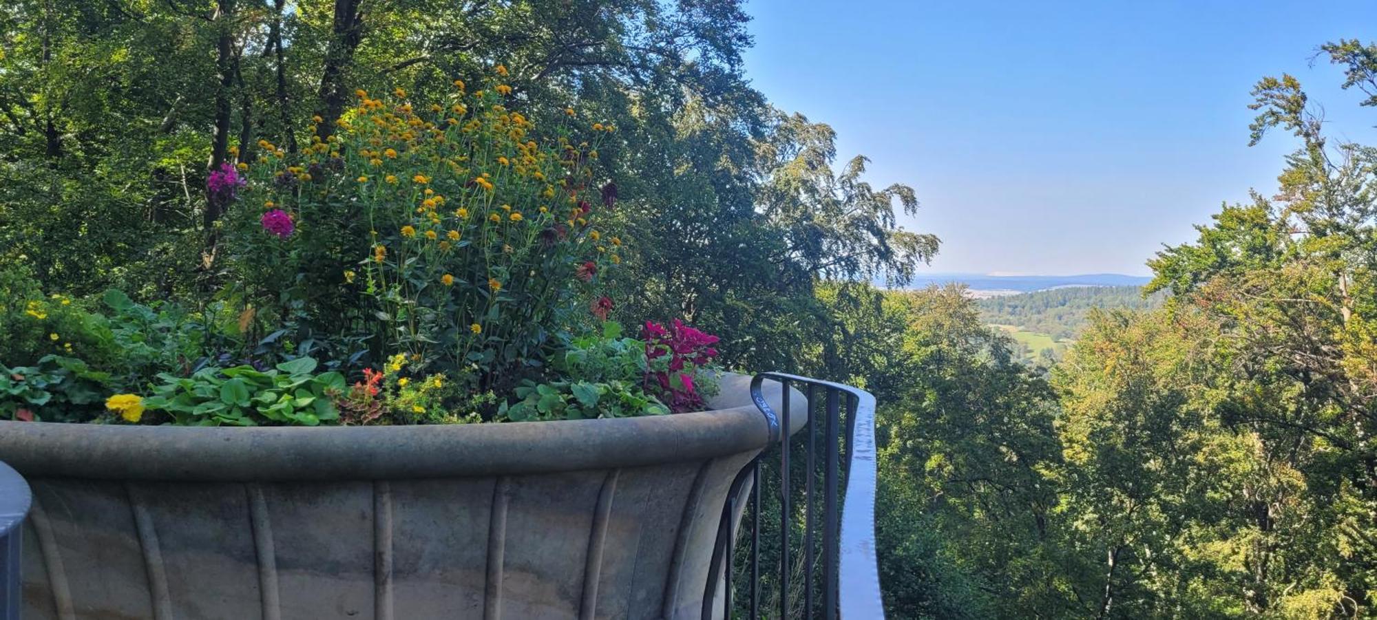 Villa Charlotte Bad Liebenstein Ngoại thất bức ảnh